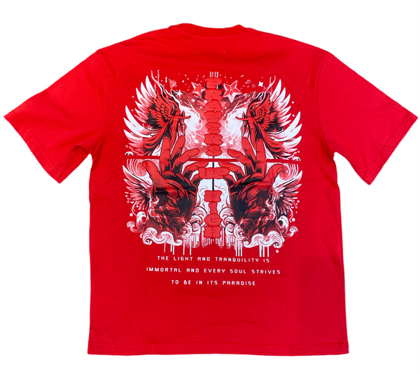 Denimicity Tshirt