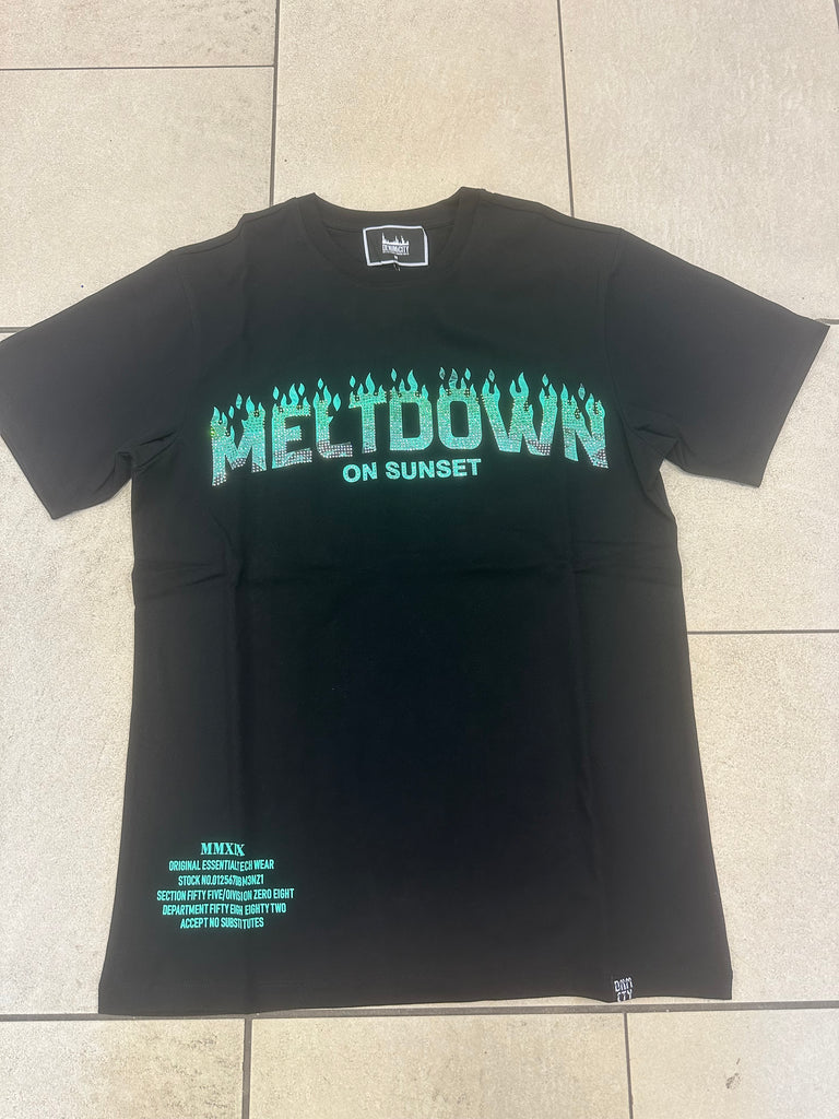 Denimicity T-shirt