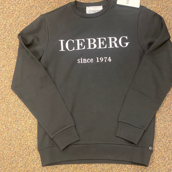Iceberg sweatshirt